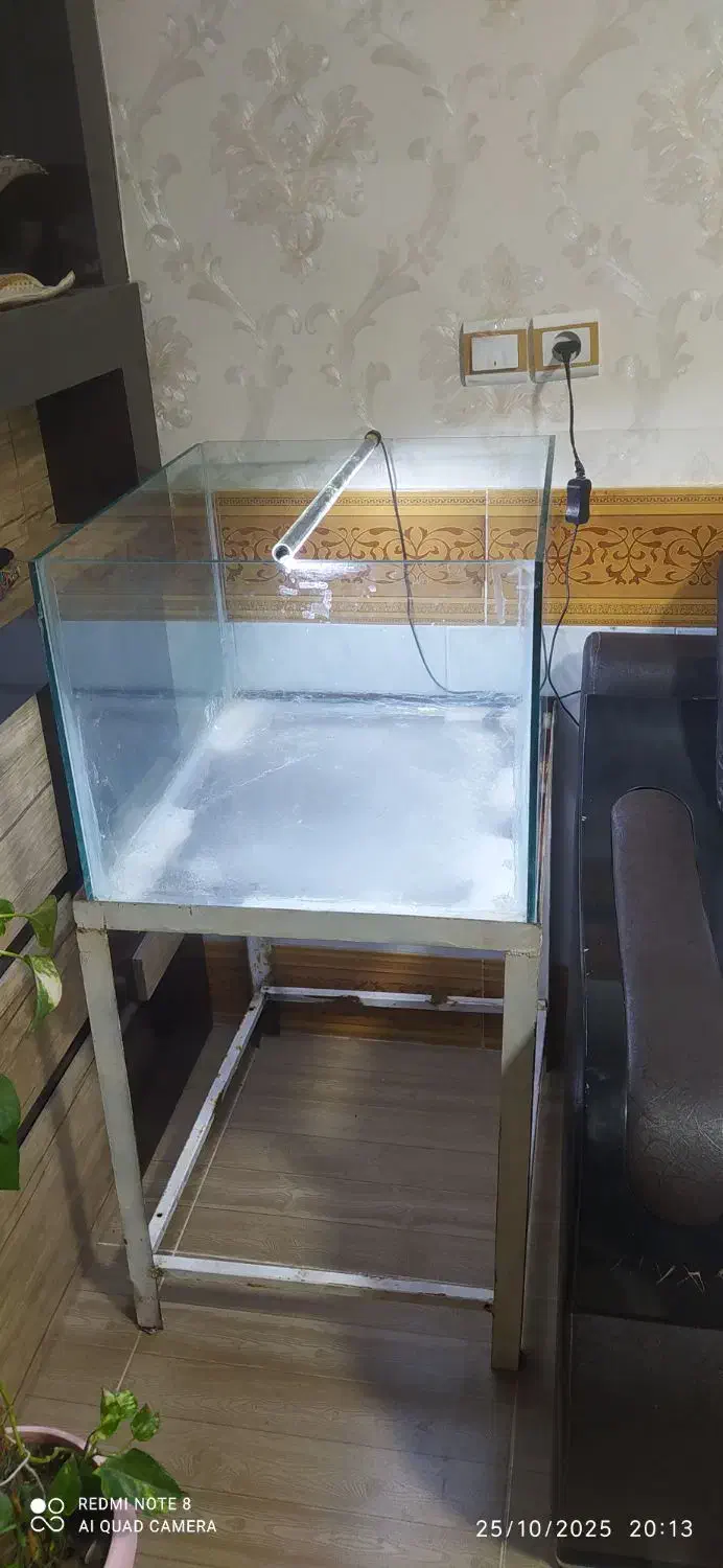 اکواریم|ماهی|گناباد, |دیوار