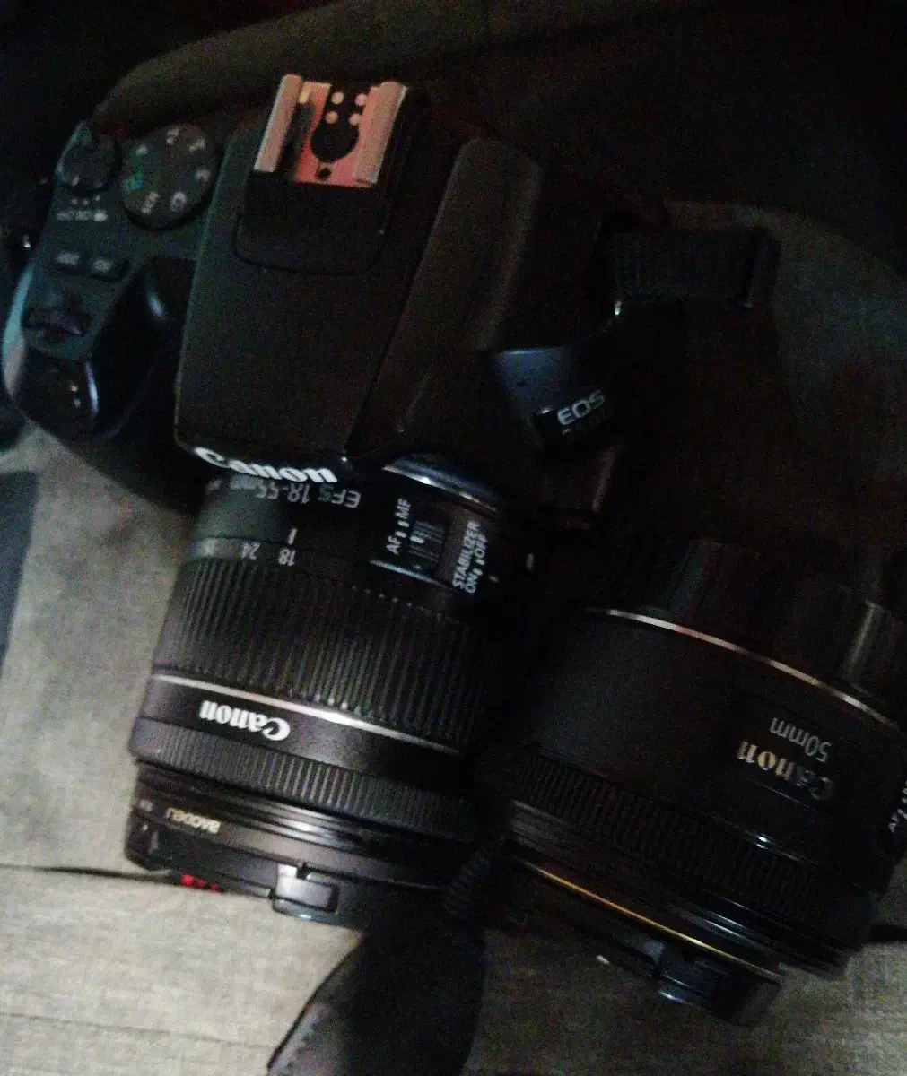 عکاسی و فیلمبرداری با دوربین 4k|دوربین عکاسی و فیلم‌برداری|کرمان, |دیوار