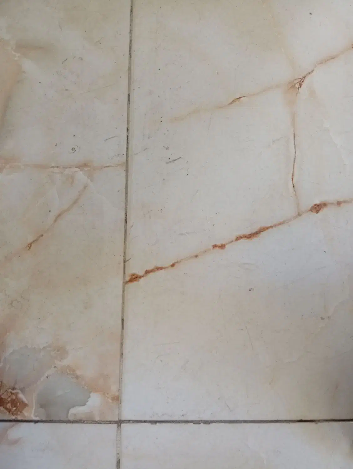 زمین تجاری صنف تعمیرکاران|فروش مغازه و غرفه|یاسوج, |دیوار