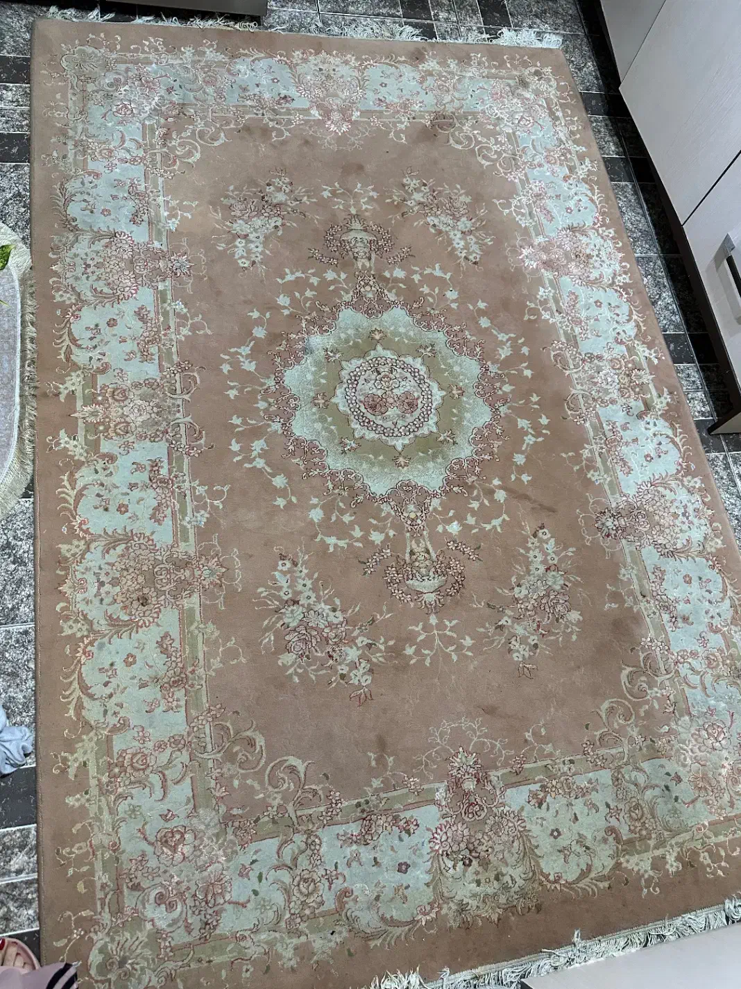 یک جفت برش ۵ متری|فرش|فردیس, داوری|دیوار