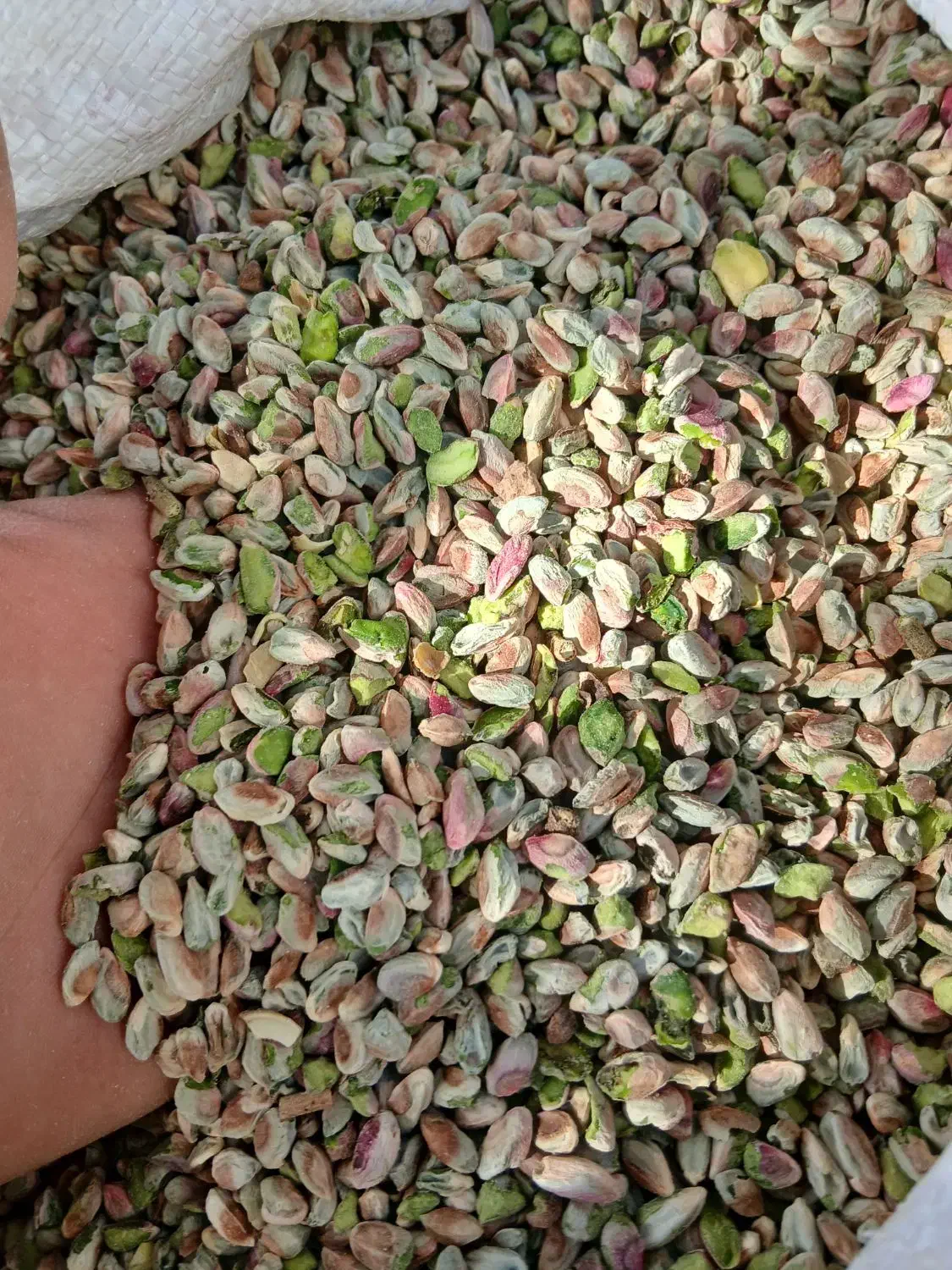 فروش مغز و پسته|خوردنی و آشامیدنی|مه ولات, |دیوار