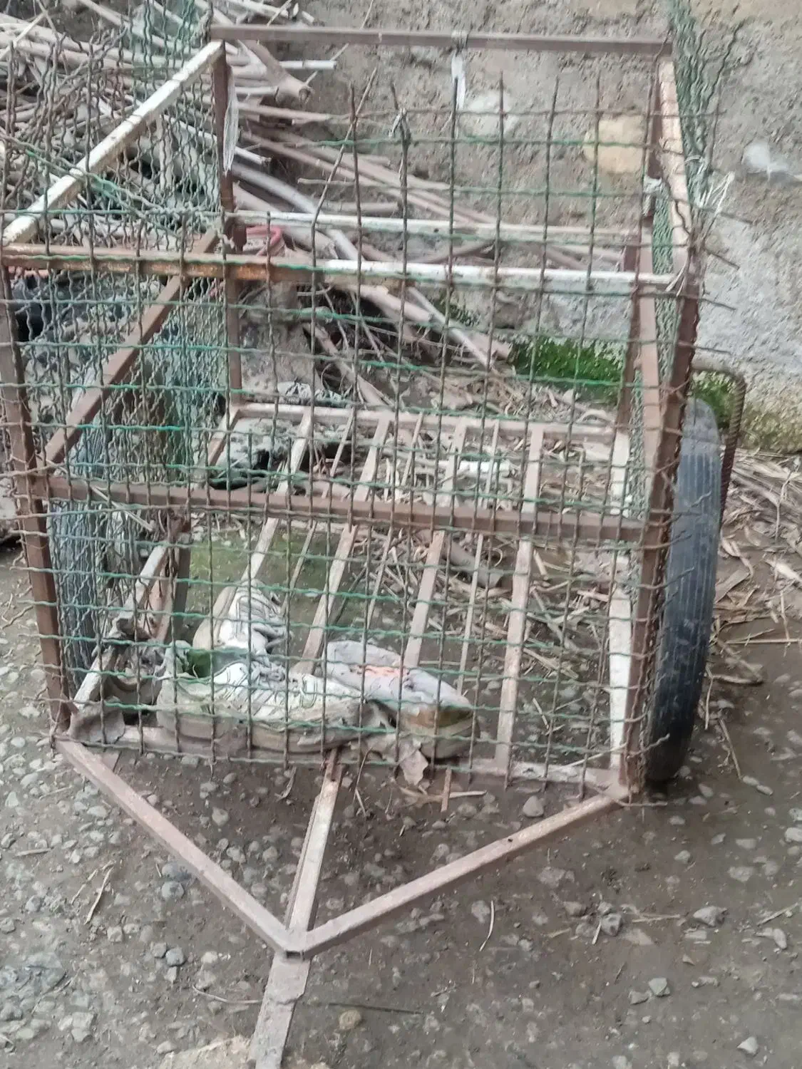 گاری|موتورسیکلت|گرگان, |دیوار