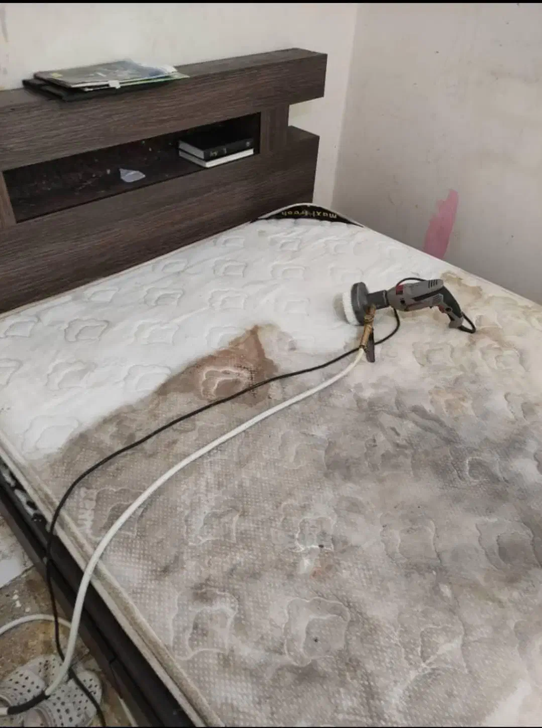 مبل شویی .قالیشویی .شستشوی انواع خوشخواب موکت شویی|خدمات نظافت|بندرعباس, |دیوار