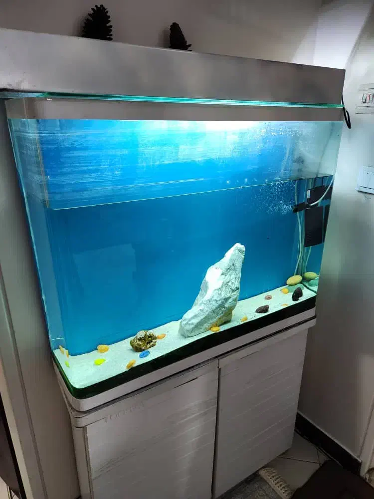 آکواریوم شیشه خم با لوازم کامل|ماهی|تهران, صاحب الزمان|دیوار
