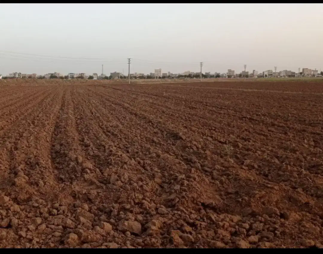 زمین کشاورزی اجاره داده میشود|اجارهٔ دفتر صنعتی، کشاورزی، تجاری|آبیک, |دیوار