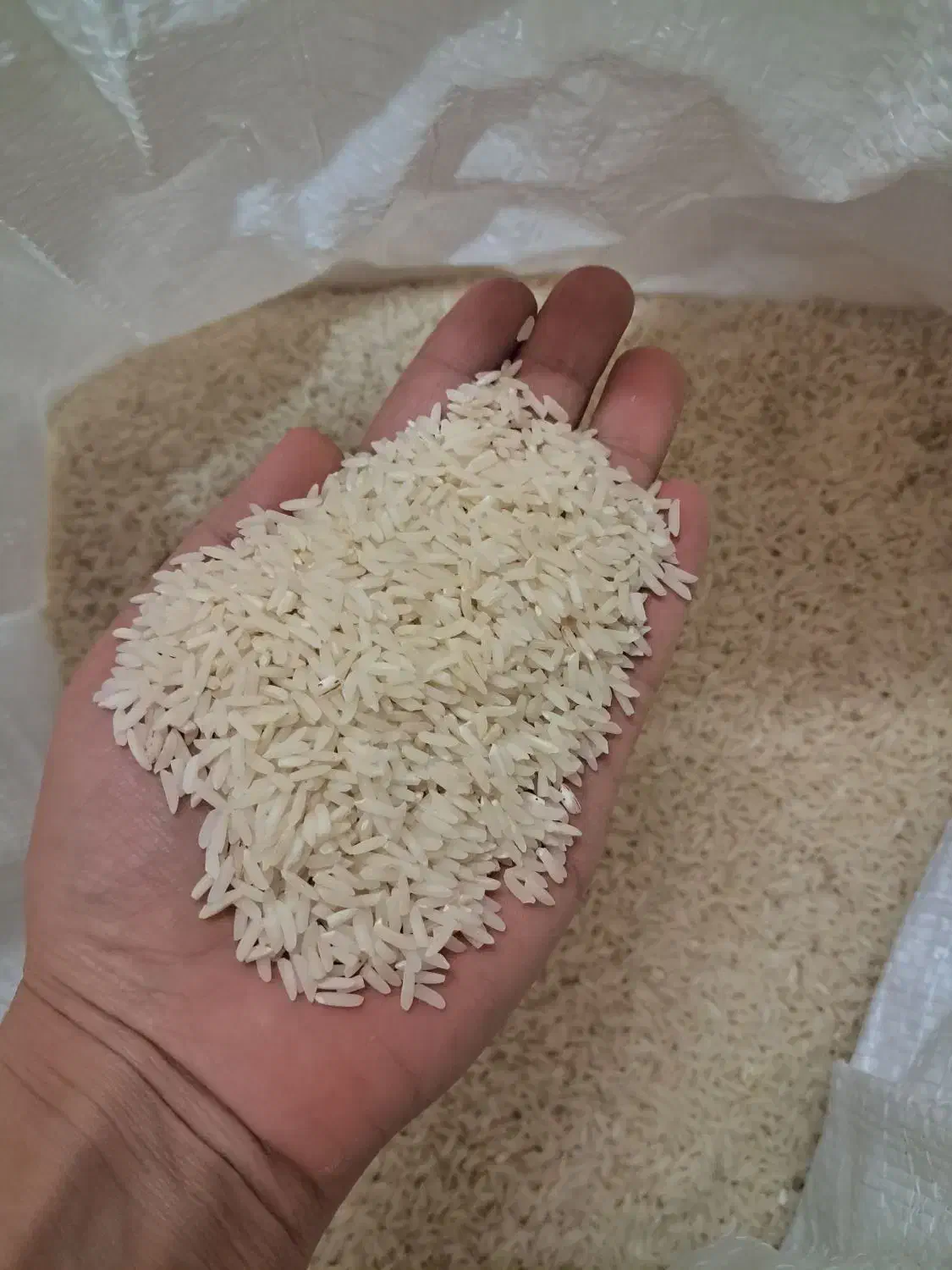 برنج هاشمی درجه ۱|خوردنی و آشامیدنی|ری, ظهیرآباد|دیوار