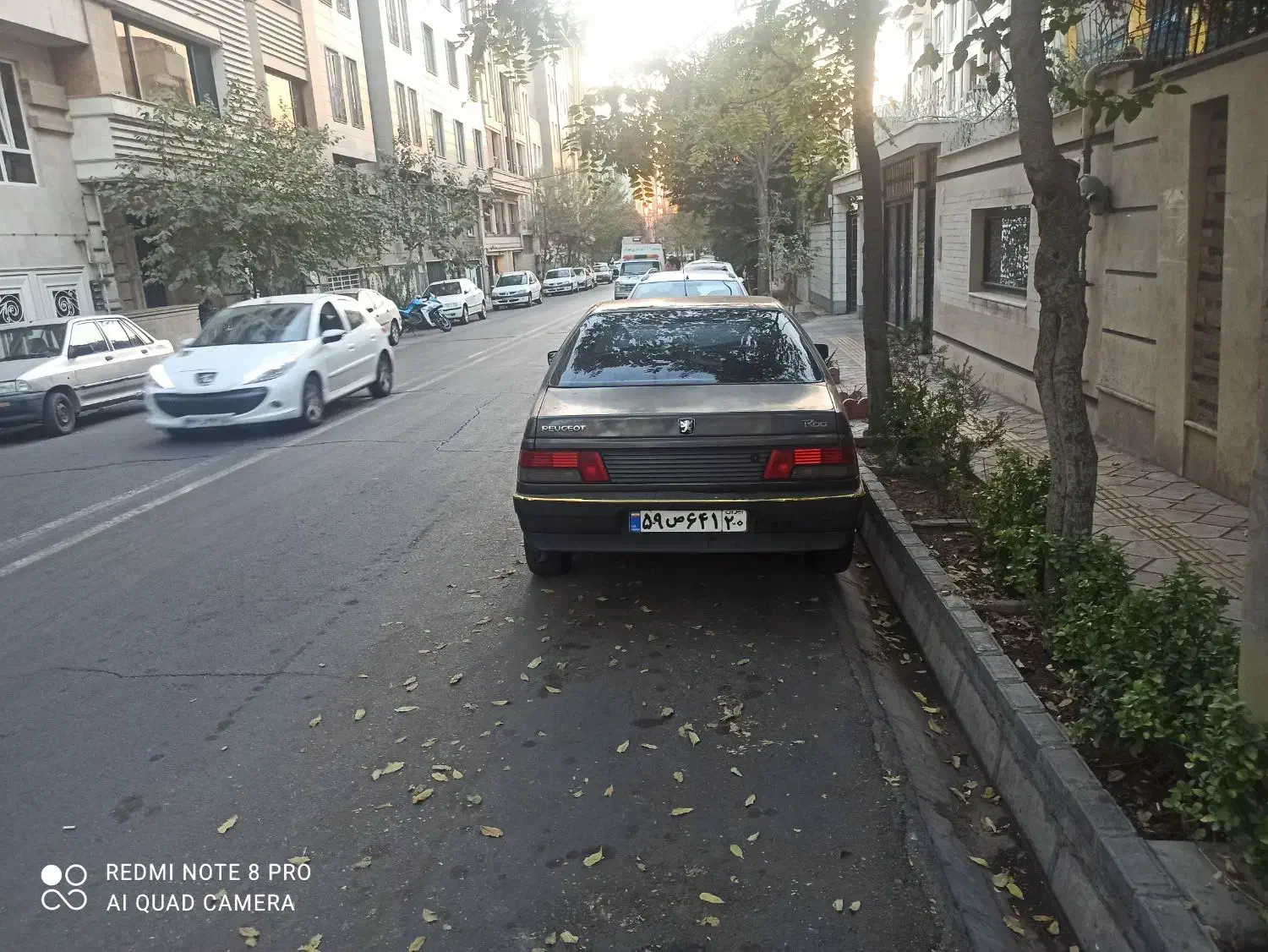 پژو روا بی رنگ|خودرو سواری و وانت|تهران, حافظیه|دیوار