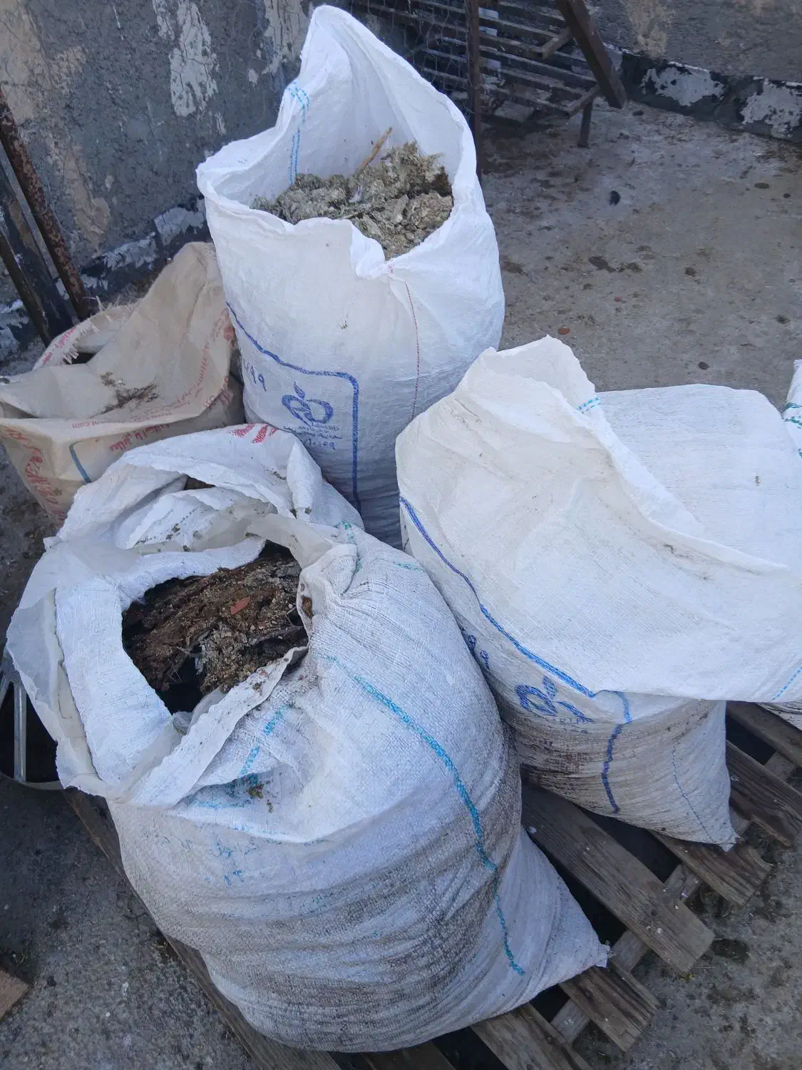 کود کبوتر|خدمات باغبانی و درختکاری|آشخانه, |دیوار