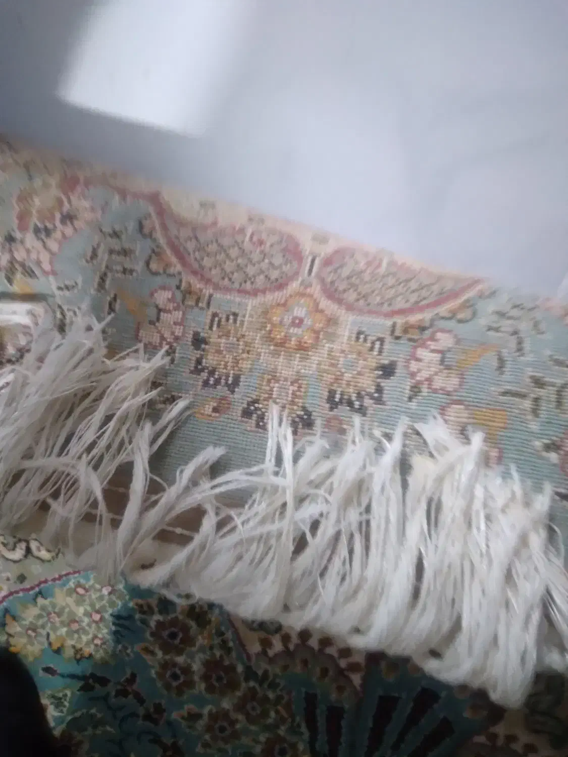 فرش ۹متری تک|فرش|تربت‌حیدریه, کلاته توکلی|دیوار