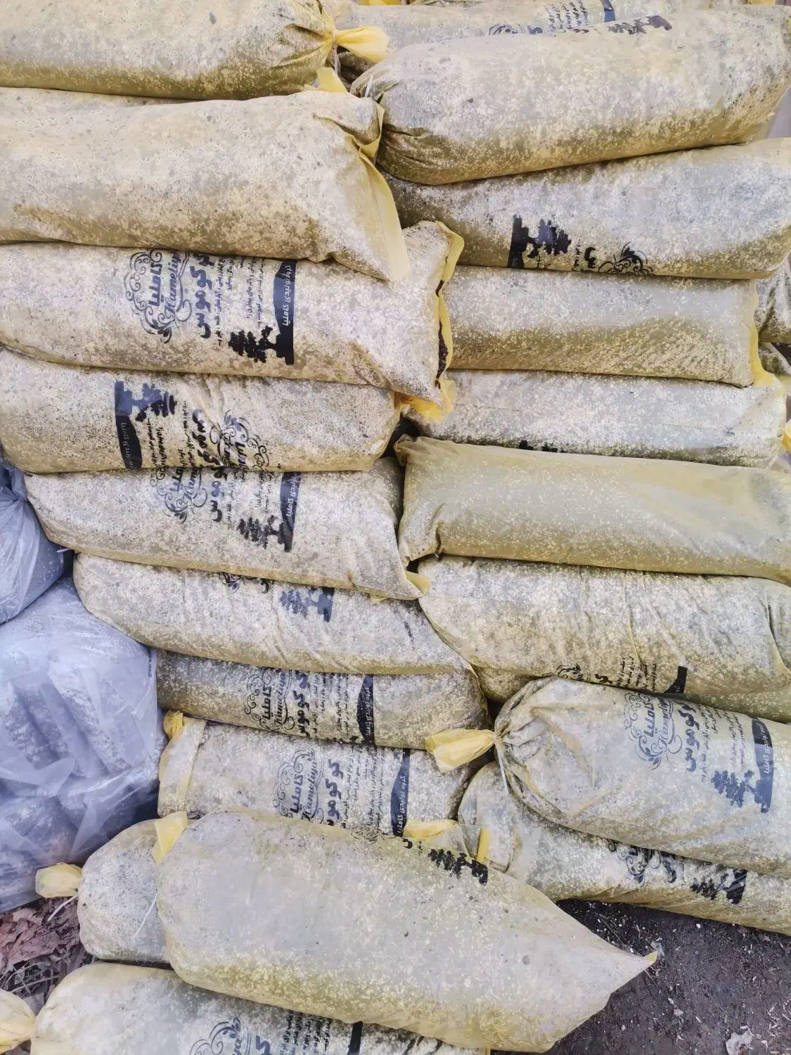 خاک برگ، کود|گل و گیاه طبیعی|مشهد, شهید احمدی روشن|دیوار