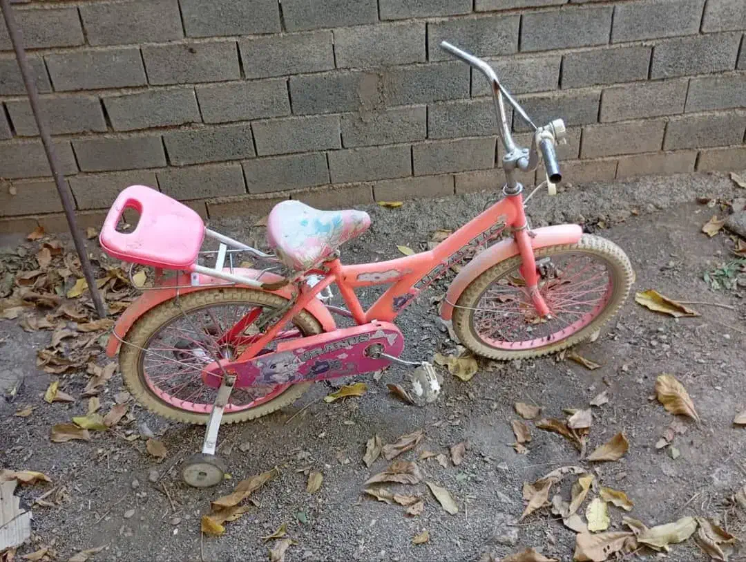 دوچرخه دخترانه|دوچرخه، اسکیت، اسکوتر|آبعلی, |دیوار