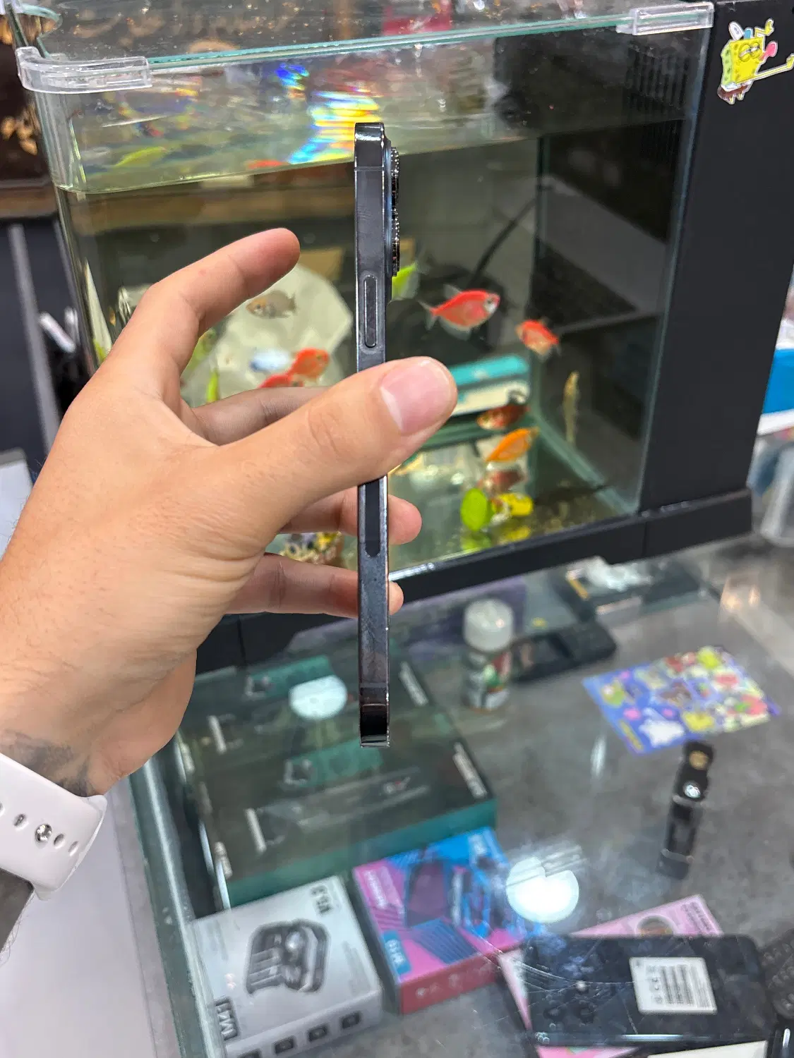 13pro max|موبایل|شیراز, زند|دیوار