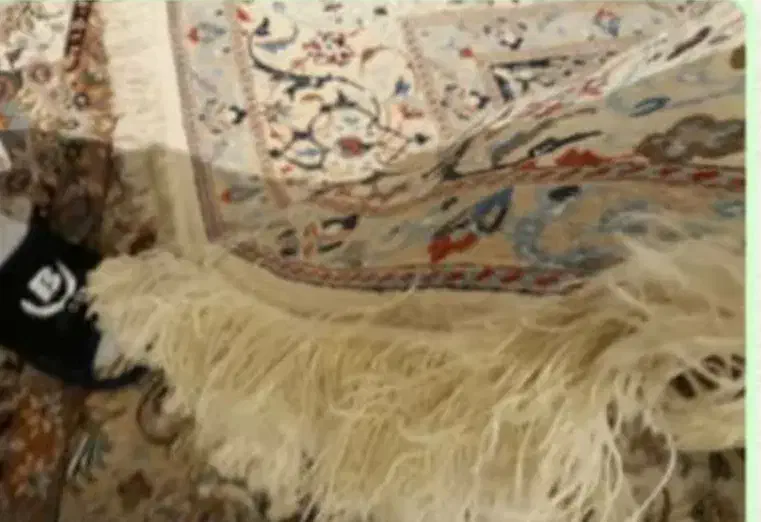 فرش دستبافت ۶ متری گل ابریشم نائین|فرش|تهران, باشگاه نفت|دیوار