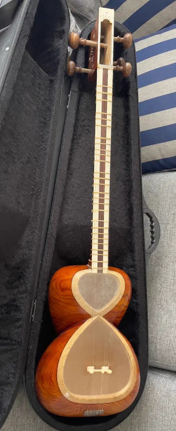 تار مهر استاد ترابی|سازهای سنتی|شیراز, غدیر شمالی|دیوار