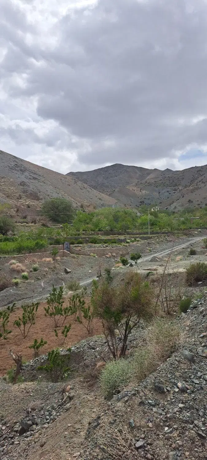 تصویر 9