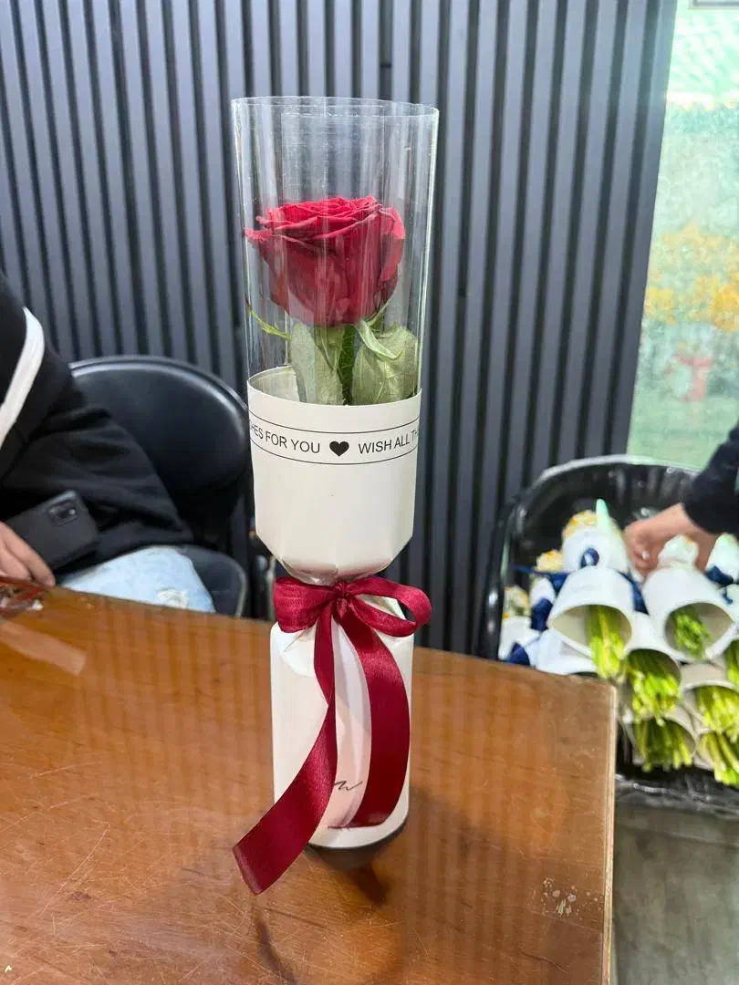 رز طلقی|گل و گیاه طبیعی|تهران, آهنگ|دیوار