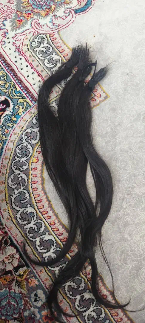 مو طبیعی سر چسب شده ۶۰ سانتی|آرایشی، بهداشتی، درمانی|شیراز, میانرود|دیوار