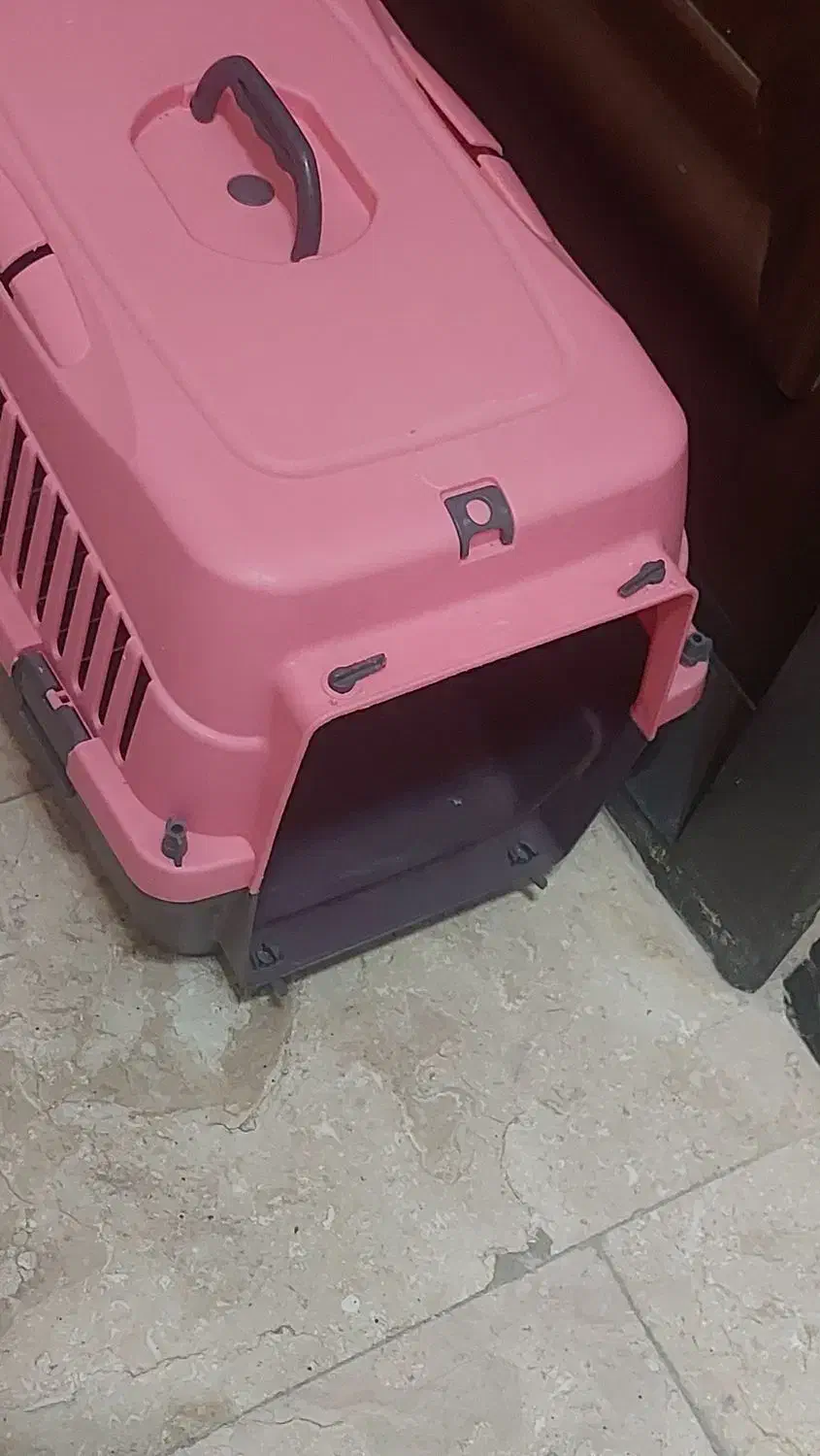 باکس سگ|لوازم جانبی حیوانات|تهران, مختاری|دیوار