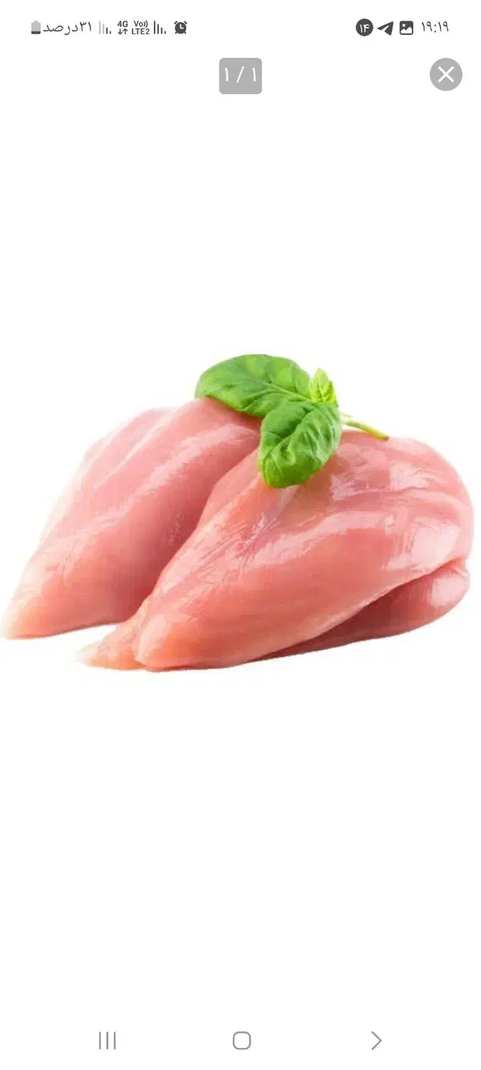 قطعه بندی مرغ کشتارروز|خوردنی و آشامیدنی|قم, نوبهار|دیوار