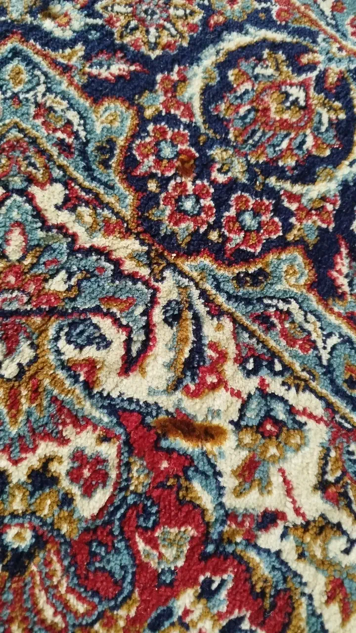 فرش دست دوم فوری|فرش|فولادشهر, C3|دیوار