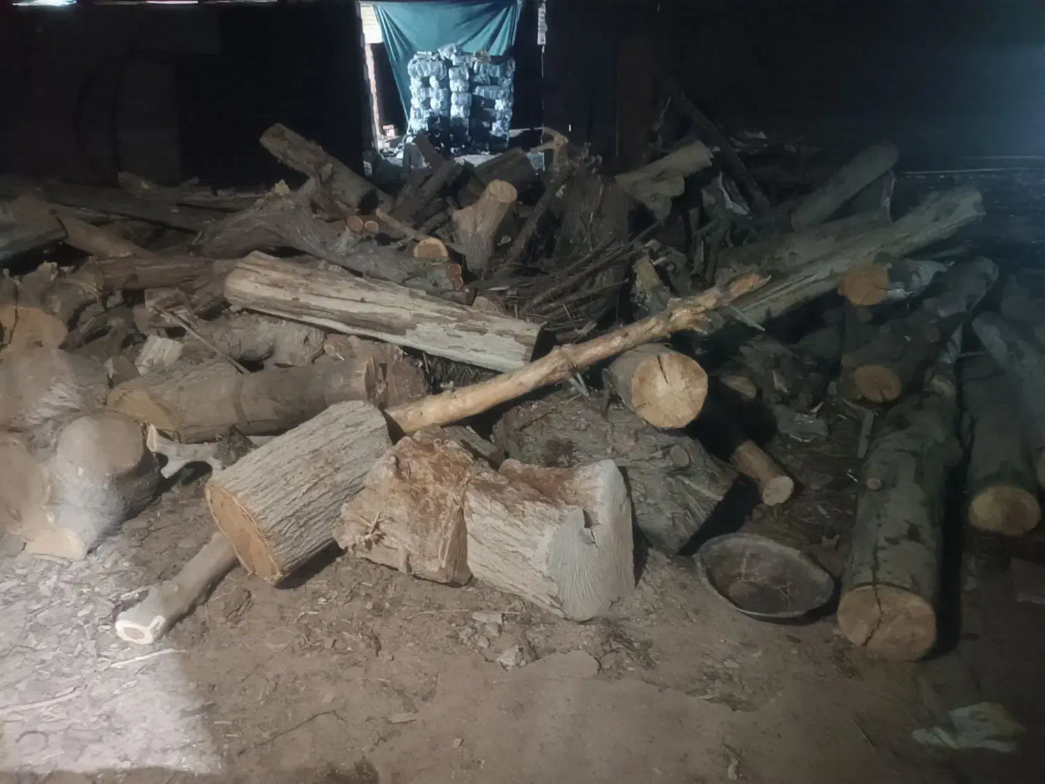 خرید چوب|خدمات باغبانی و درختکاری|کرمان, |دیوار