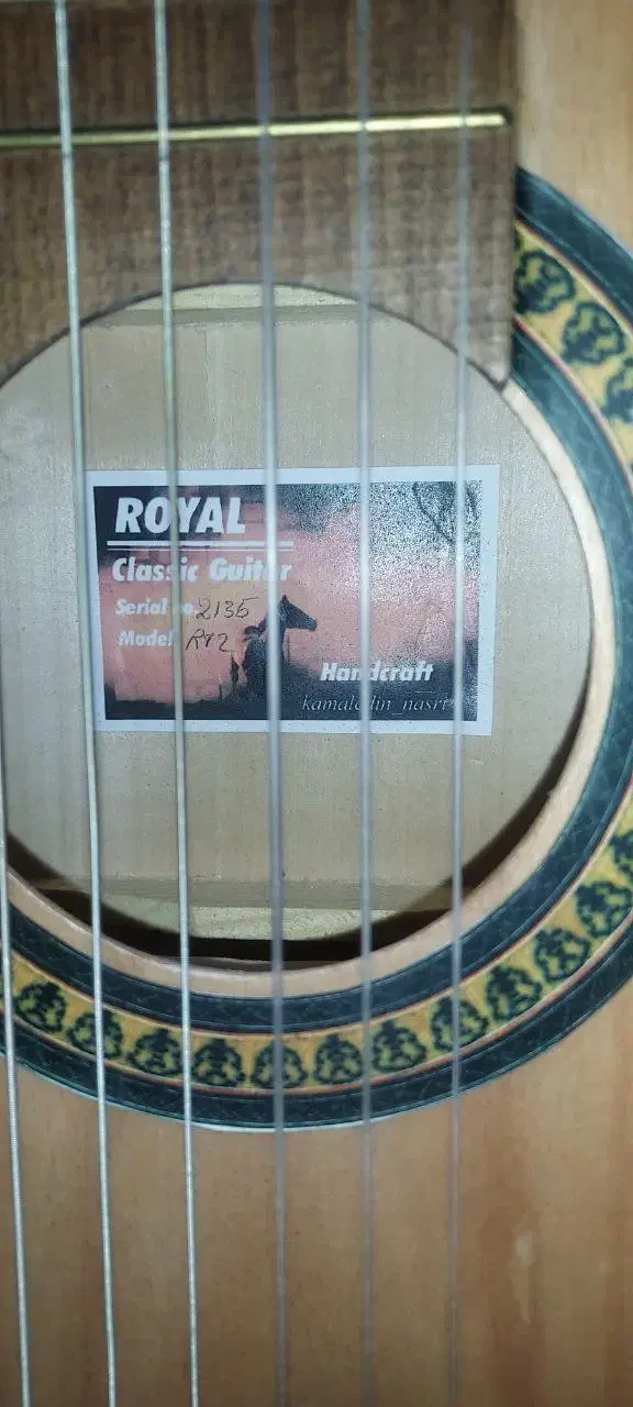 گیتار رویال نو|گیتار، بیس، امپلیفایر|آبیک, |دیوار