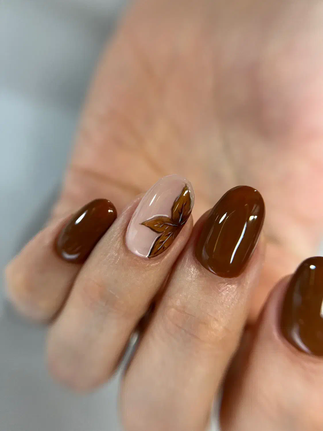 تخفیف ویژه شب یلدا و روز زن|خدمات آرایشگری و زیبایی|بابلسر, |دیوار