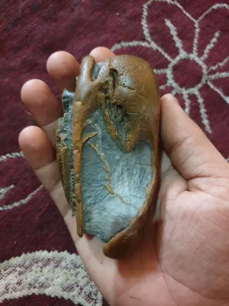 دعا خواندن|خدمات پذیرایی، مراسم|دلگان, |دیوار