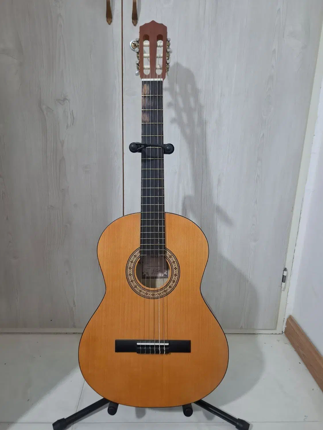 گیتار پارسی M2|گیتار، بیس، امپلیفایر|شاهرود, |دیوار