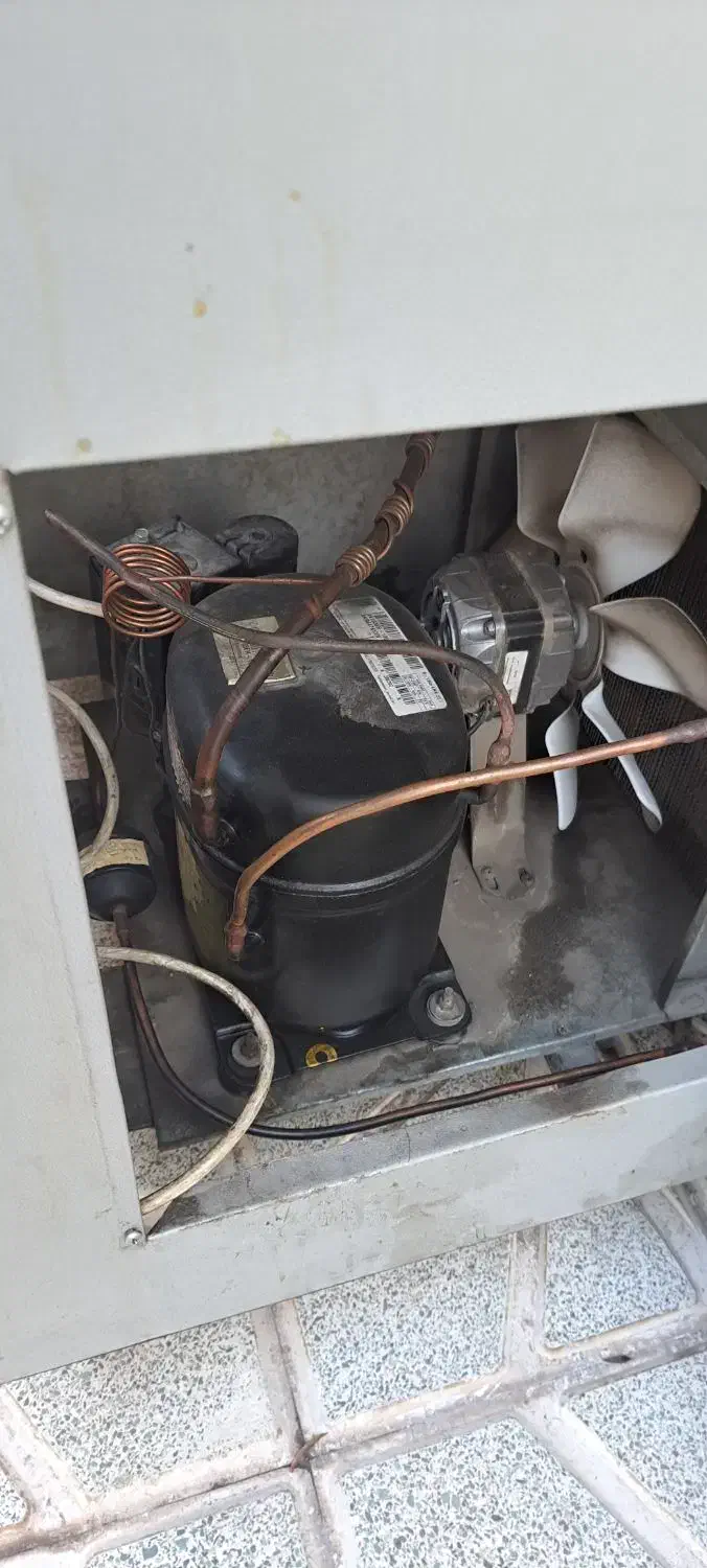 دیگ ۲۰۰نفره و یخجال ویترینی|کافیشاپ و رستوران|تبریز, |دیوار