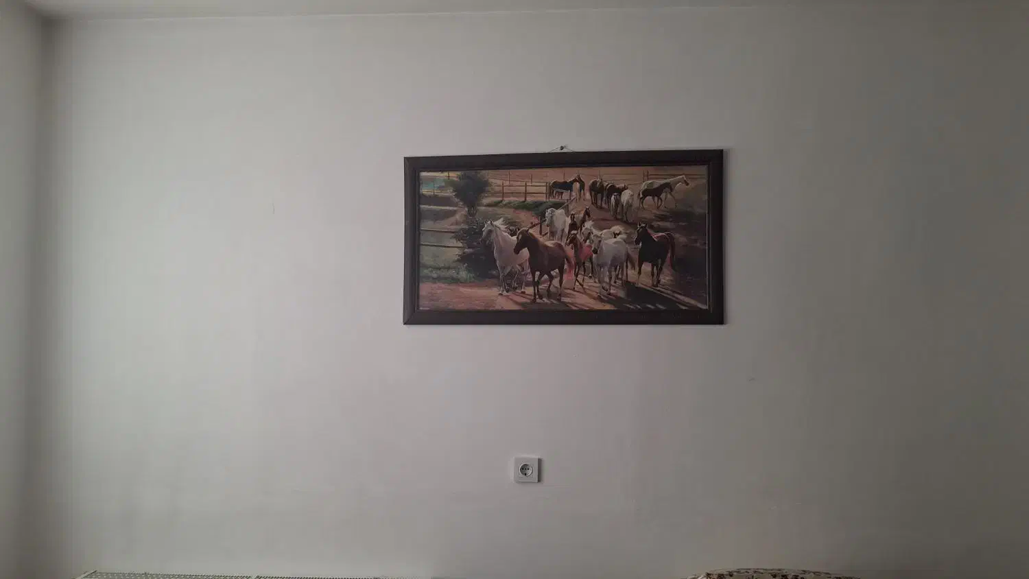 یک عدد تابلوی اسبهای نجیب به فروش میرسد|تابلو، نقاشی، عکس|الوند, |دیوار