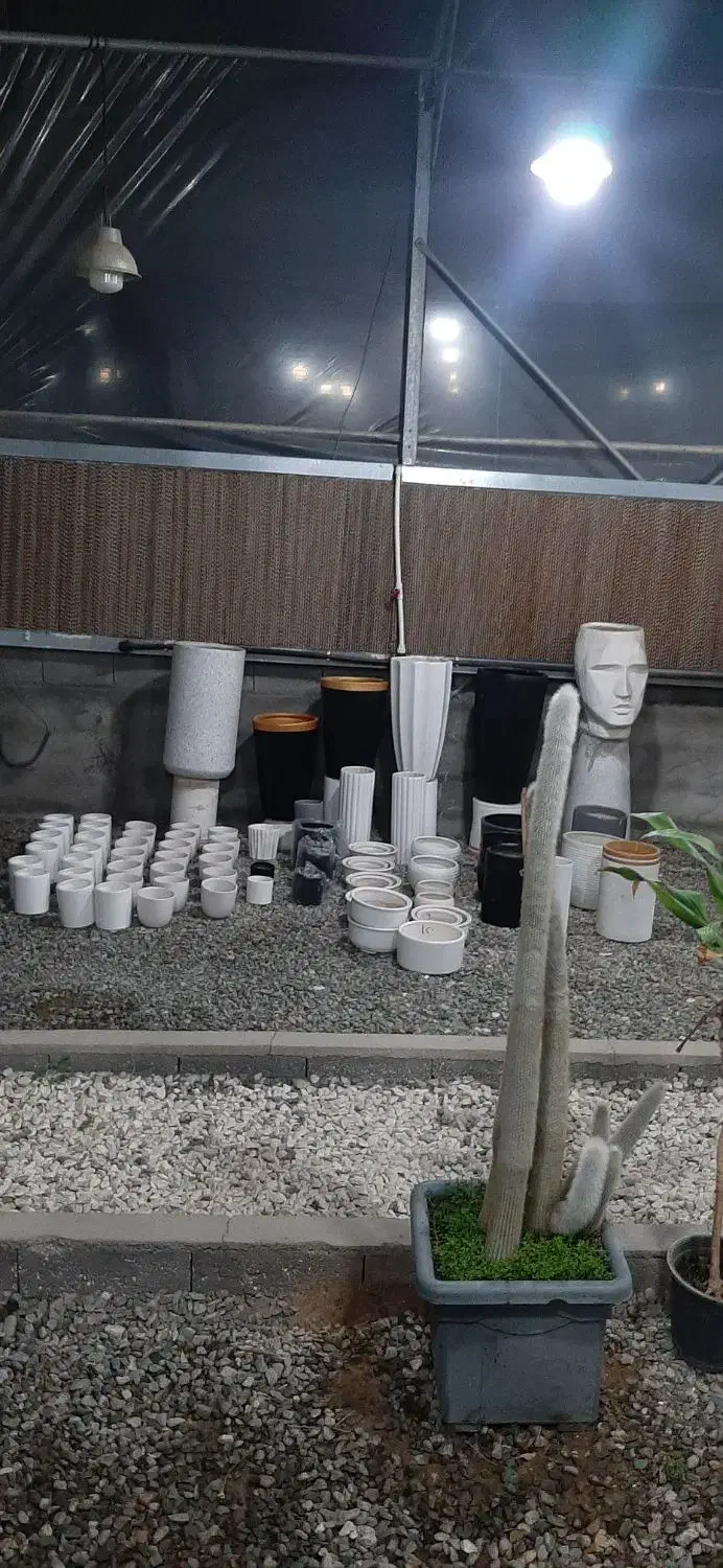 فروش ویژه گلهای آپارتمانی و ویلایی|حراج|صفادشت, |دیوار