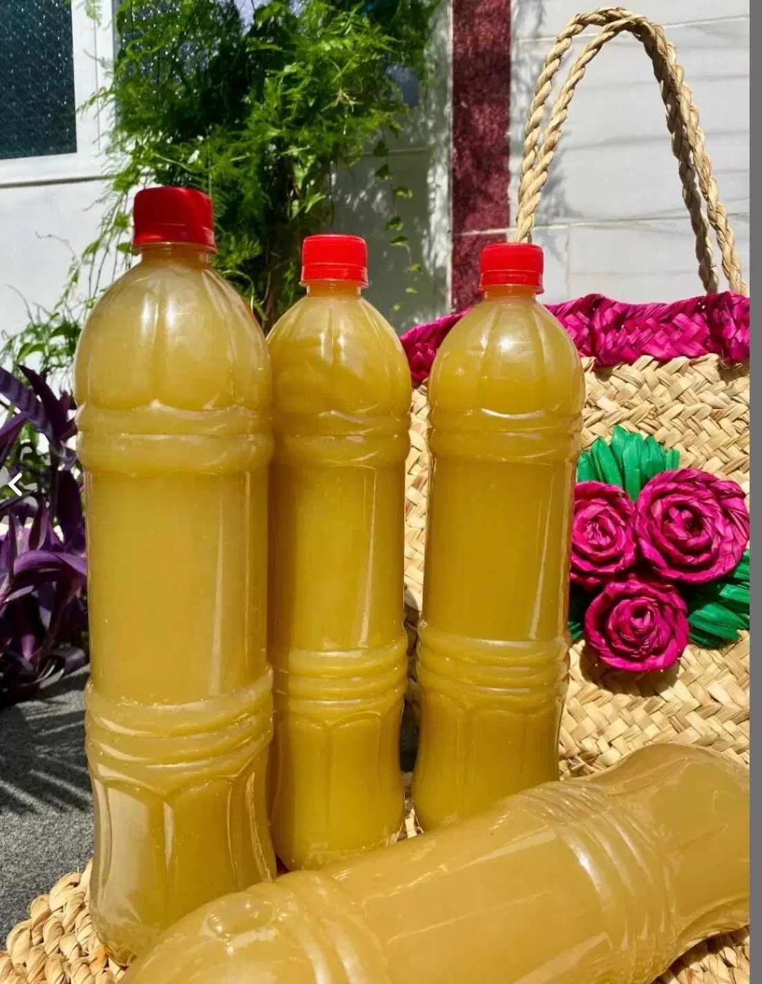 آب انار تازه آبغوره امساله رب انار|خوردنی و آشامیدنی|رشت, یخسازی|دیوار