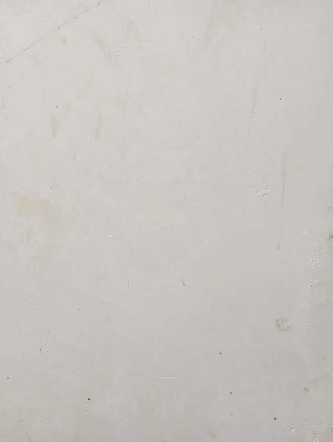 اسب پیدا شده|حیوانات|پاکدشت, پاکدشت (مامازند)|دیوار