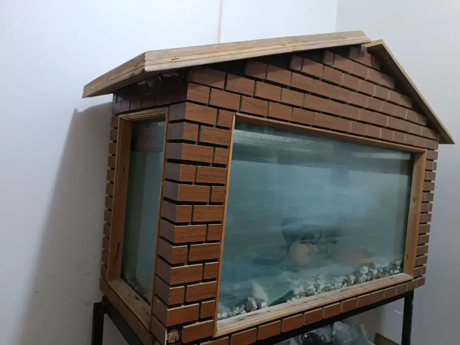 آکواریوم کلبه|ماهی|قم, بنیاد|دیوار