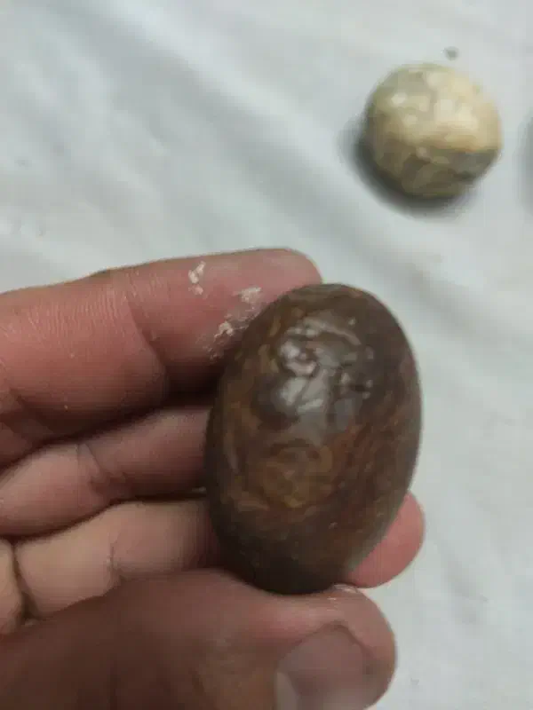 سه عدد سنگ زینتی|کلکسیون اشیاء عتیقه|اراک, |دیوار