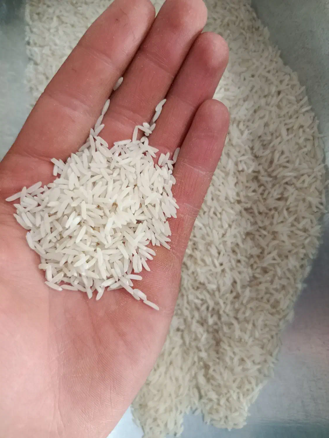 سالم شمال|خوردنی و آشامیدنی|دورود, |دیوار