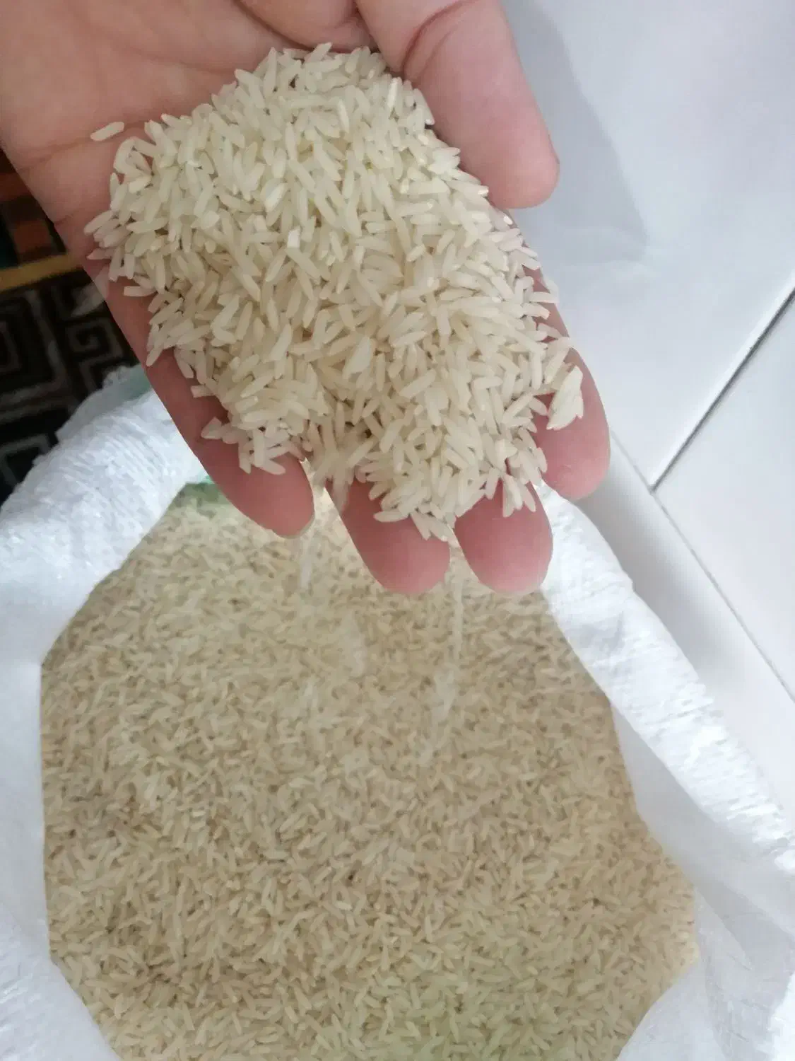 فروش برنج هاشمی|خوردنی و آشامیدنی|تاکستان, |دیوار