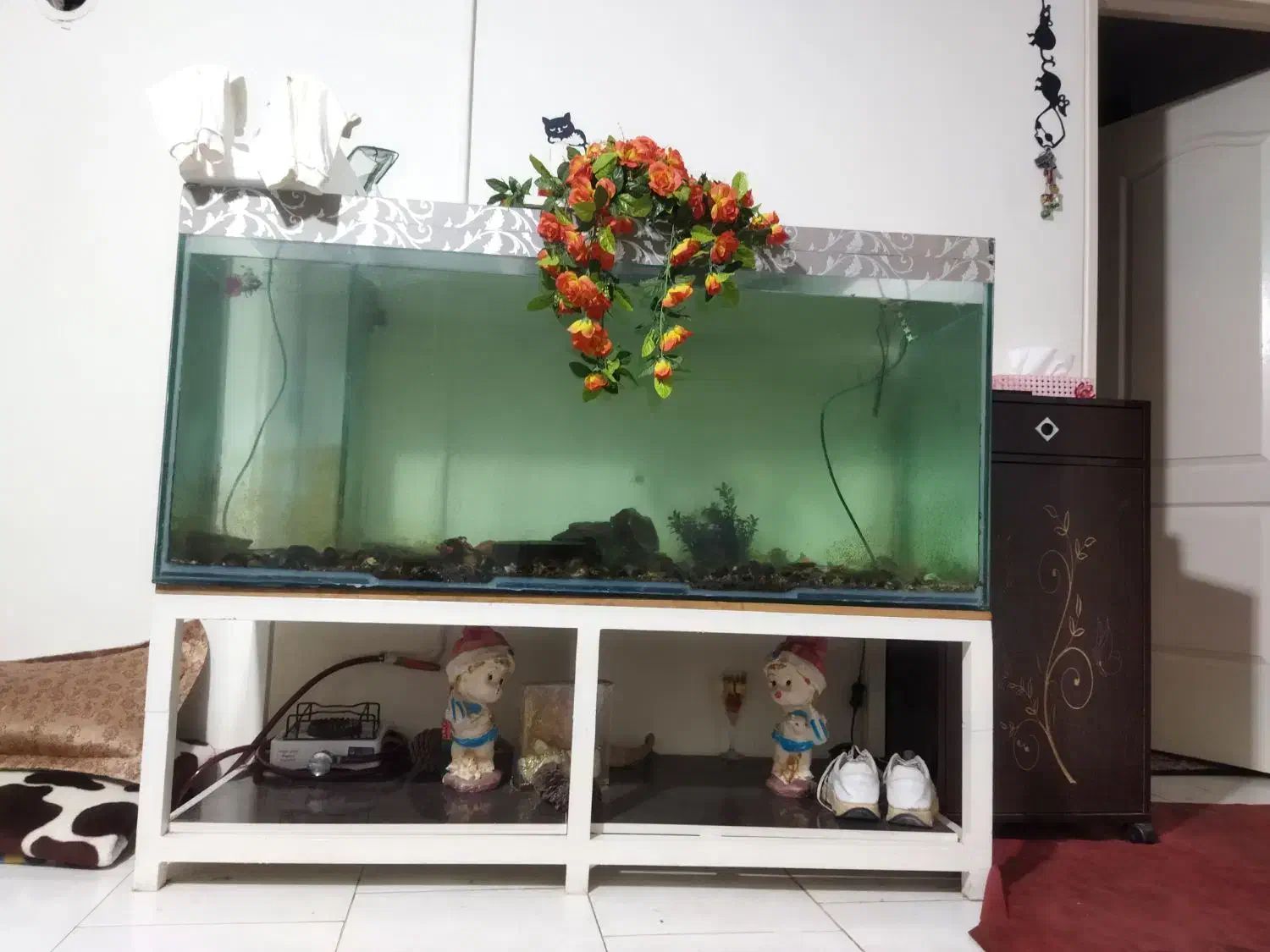 آکواریوم با وسایل وپایه ی آهنی|ماهی|بومهن, |دیوار