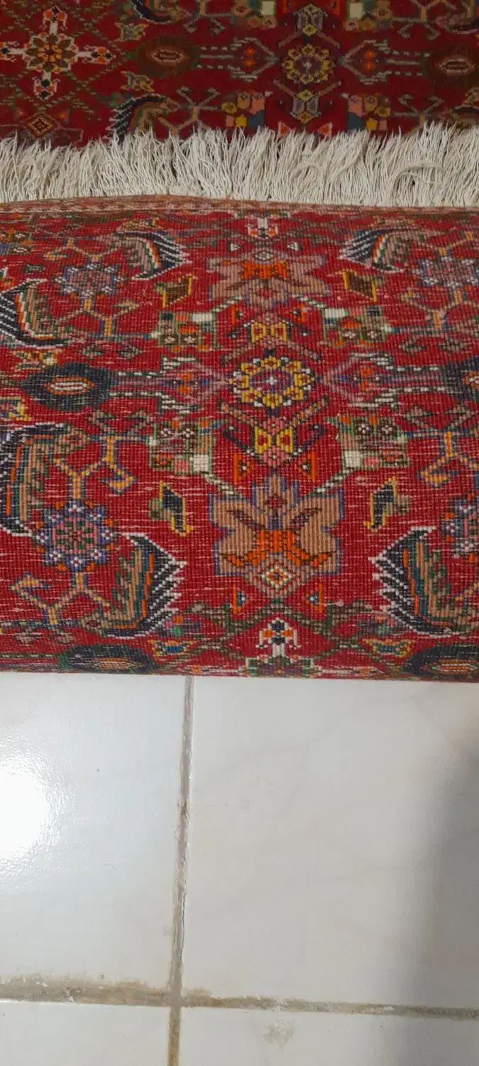 قالیچه|فرش|شیراز, شهرک بهشتی|دیوار