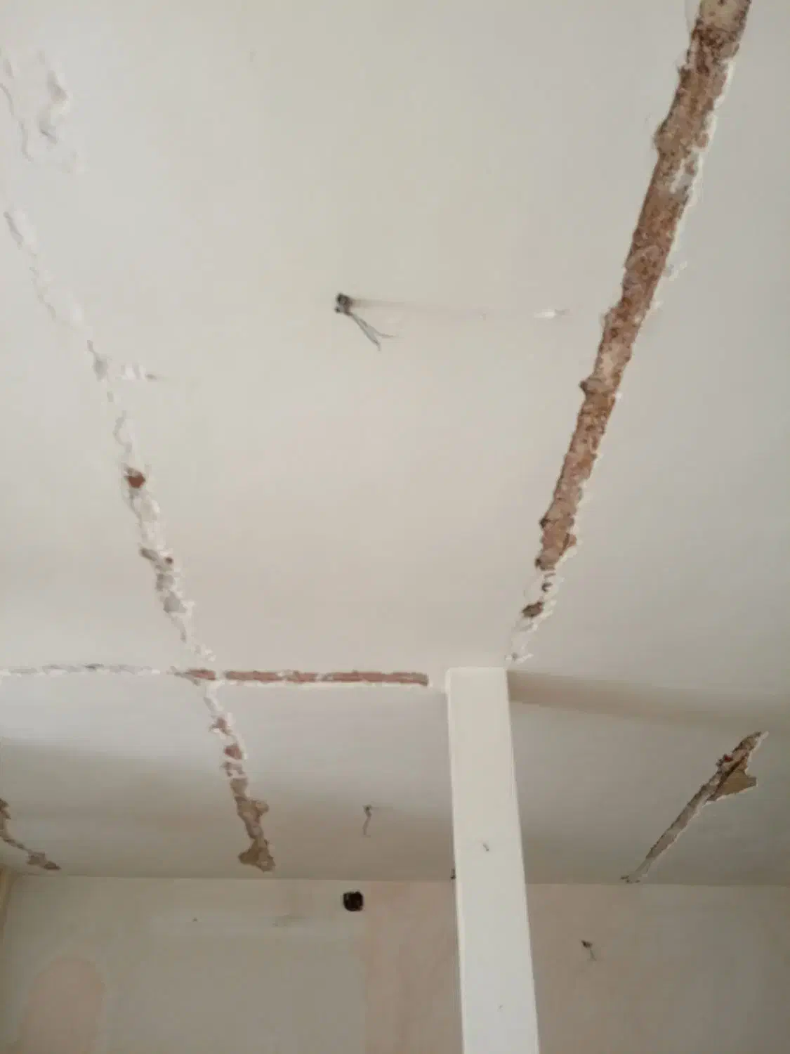 نقاشی ساختمان رنگکاری ساختمان درجه ۱|خدمات پیشه و مهارت|قم, چهل درخت‎|دیوار