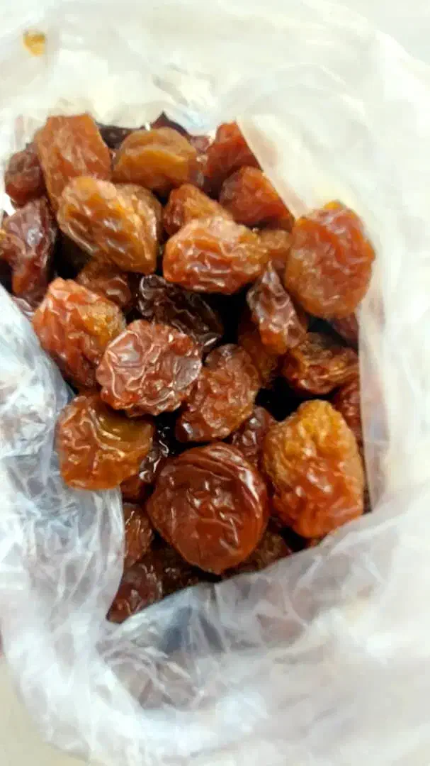 الو  و به و کشمش آفتابی ارزان|خوردنی و آشامیدنی|یزد, |دیوار