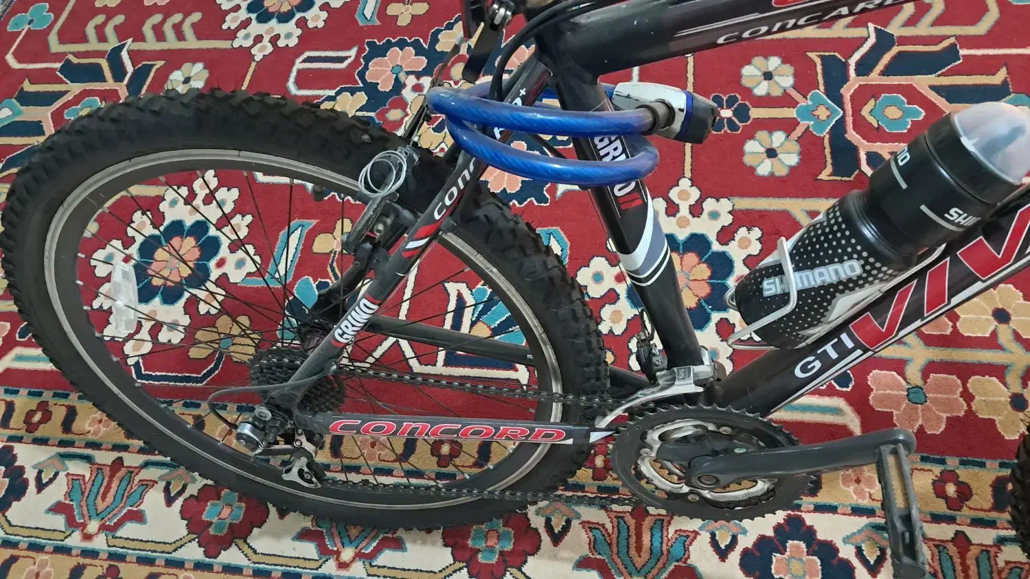 دوچرخه ۲۶ ویوا اصل تایوان|دوچرخه، اسکیت، اسکوتر|محمدشهر, ولدآباد|دیوار