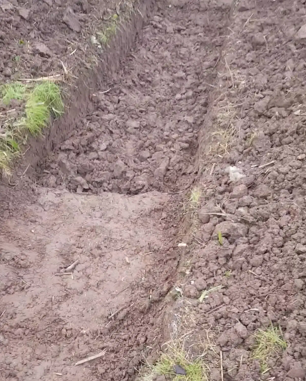 پیمانکاری و بازسازی|خدمات پیشه و مهارت|رشت, سعدی (تختی)|دیوار