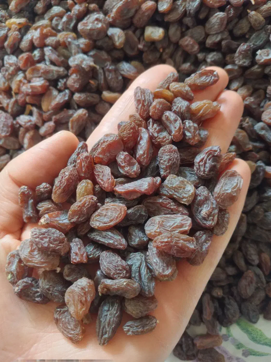 کشمش بیدانه لوکس ویژه|خوردنی و آشامیدنی|تاکستان, |دیوار