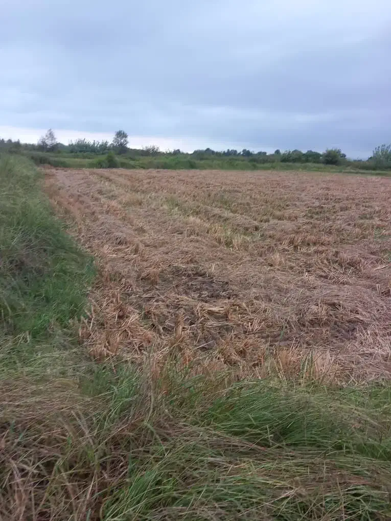 خونه ویلایی کلا۱۰۵۰۰متر|فروش خانه و ویلا|کوچصفهان, |دیوار