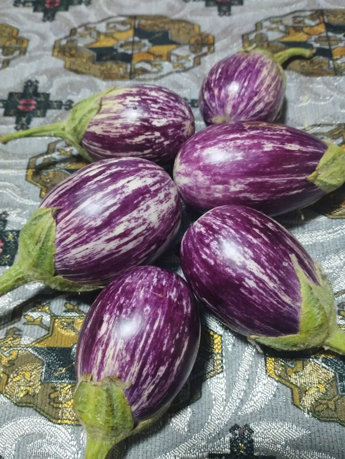 مگدوس مخلل و ترشی|خوردنی و آشامیدنی|قم, سراجه (۱۵ خرداد)|دیوار