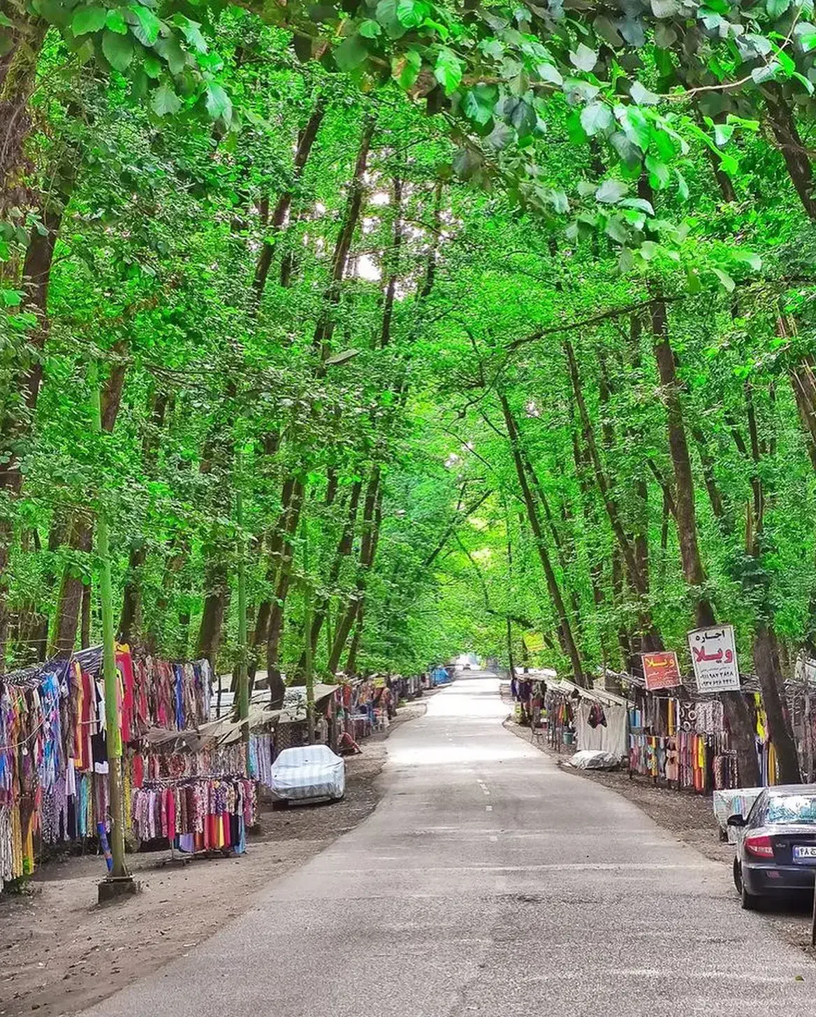 تور طبیعت|فعالیت داوطلبانه|صباشهر, |دیوار