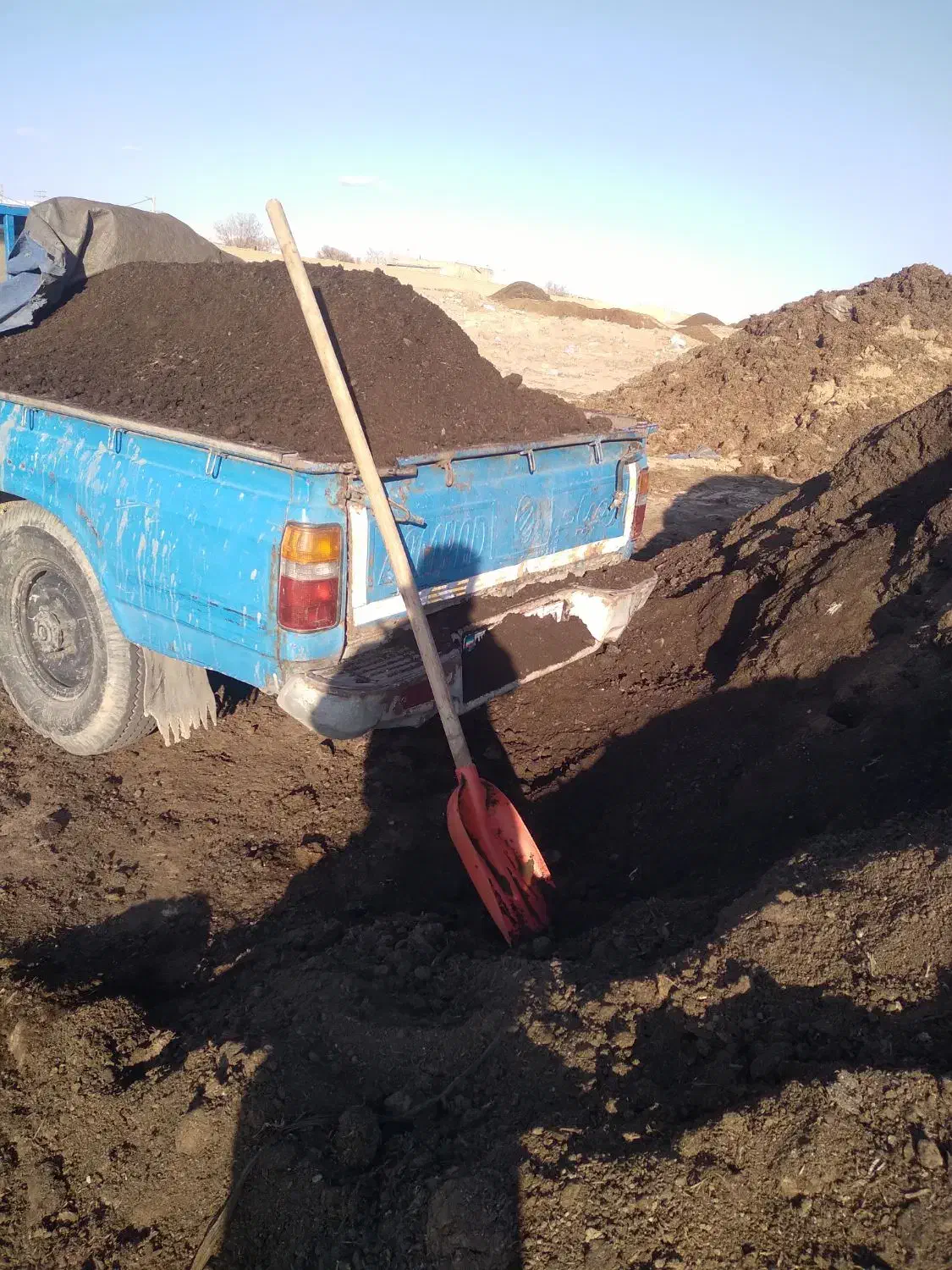 کودخشک پوسیده|عمدهفروشی|هشتگرد, شهرک سهیلیه|دیوار