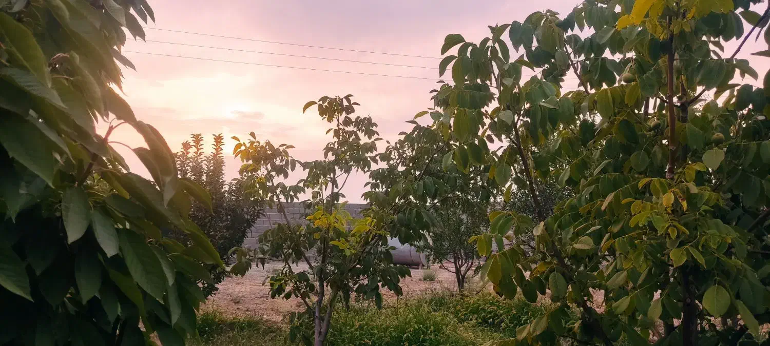 فروش باغ وایقان شبستر جاده گاز شرفتین|فروش خانه و ویلا|شبستر, |دیوار